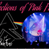 REFLECTIONS OF PINK FLOYD