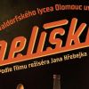 Pelíšky
