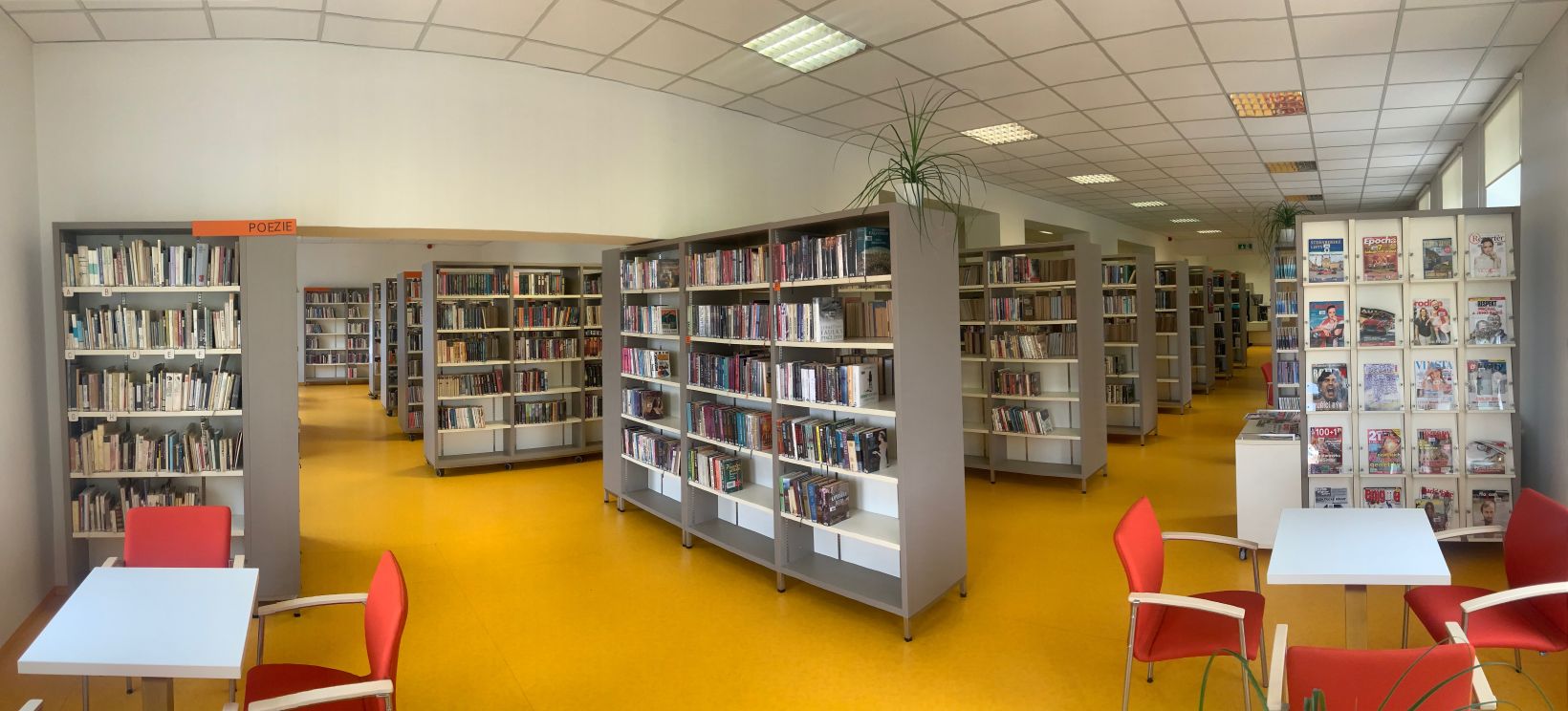knihovna